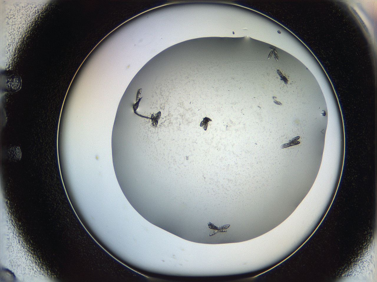 05ml_E9_ImagerDefaults_8.jpg