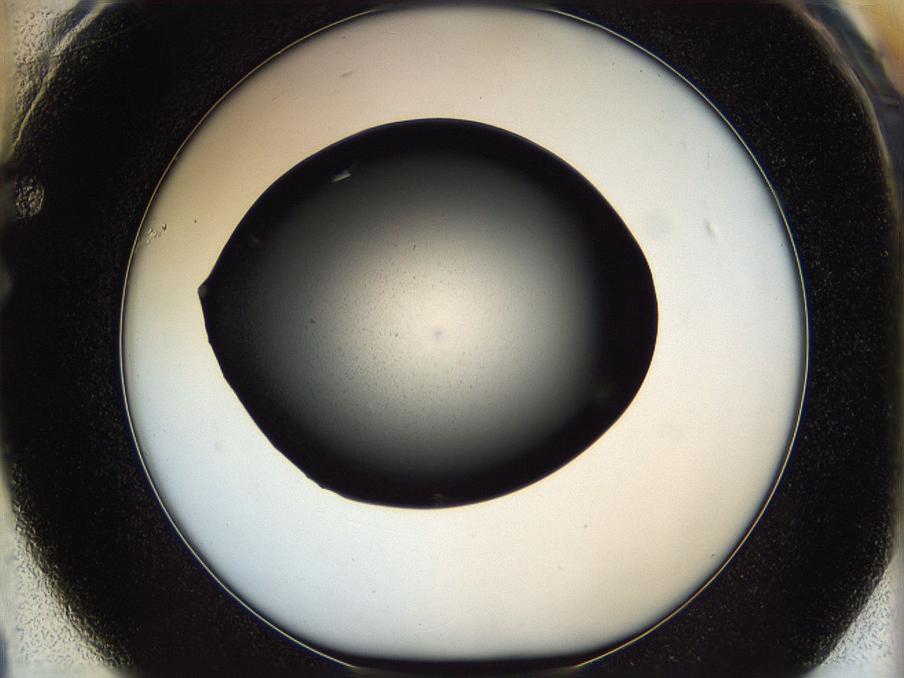 05ml_F1_ImagerDefaults_8.jpg