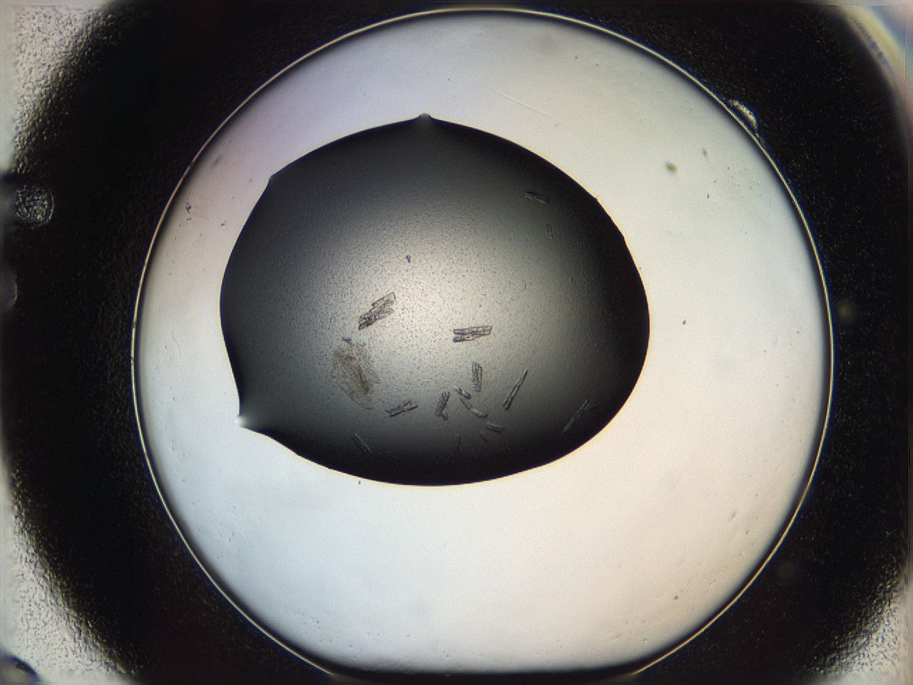 05ml_F9_ImagerDefaults_7.jpg