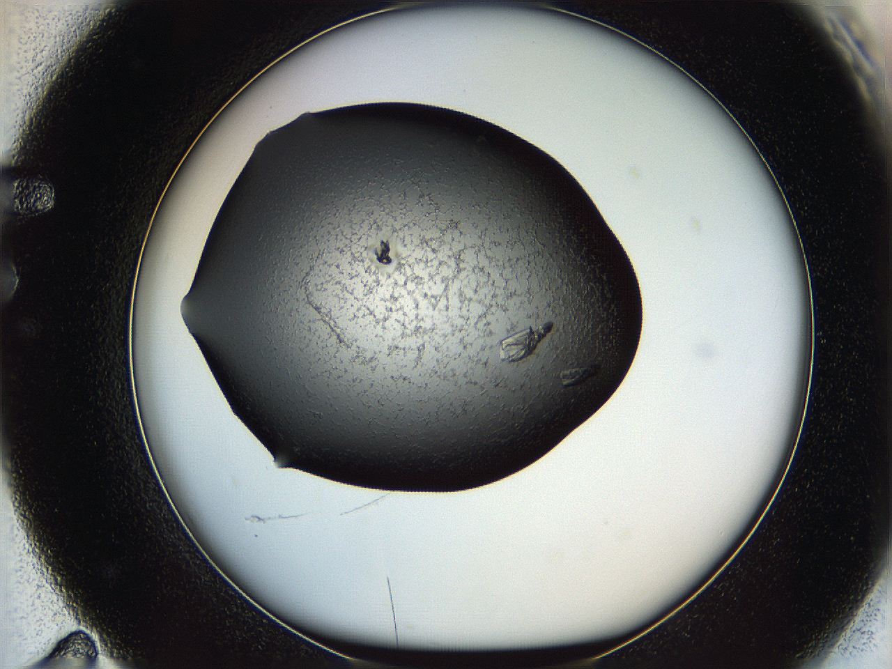 05ml_F11_ImagerDefaults_8.jpg