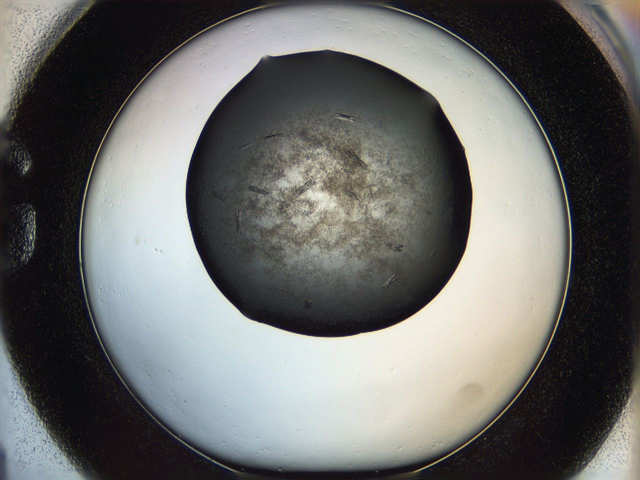 05ml_G1_ImagerDefaults_7.jpg