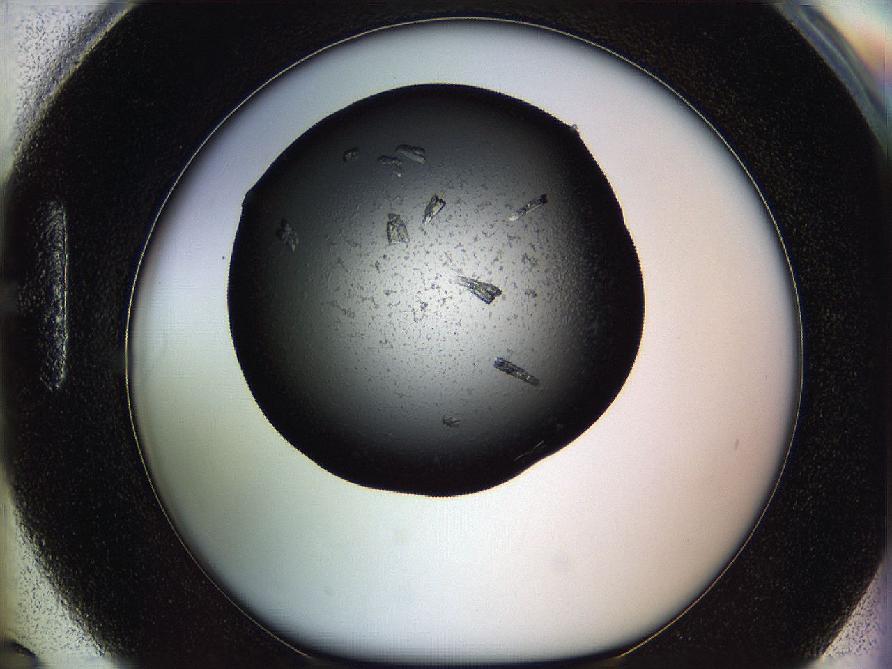 05ml_H6_ImagerDefaults_7.jpg