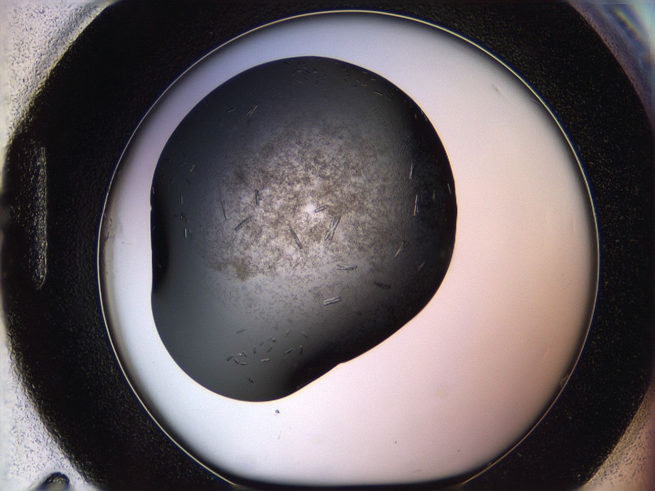05ml_H11_ImagerDefaults_7.jpg