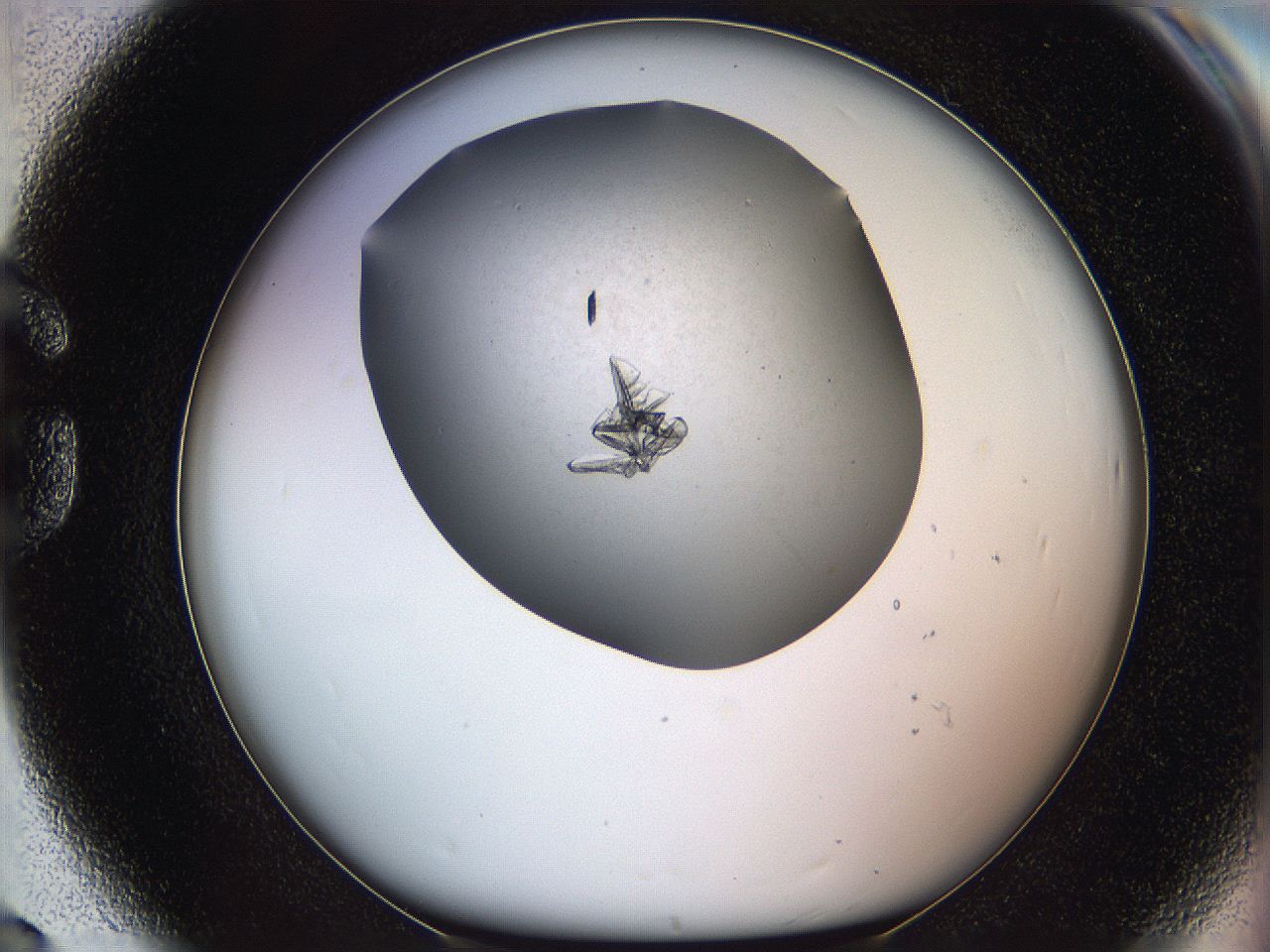 05ms_G8_ImagerDefaults_8.jpg