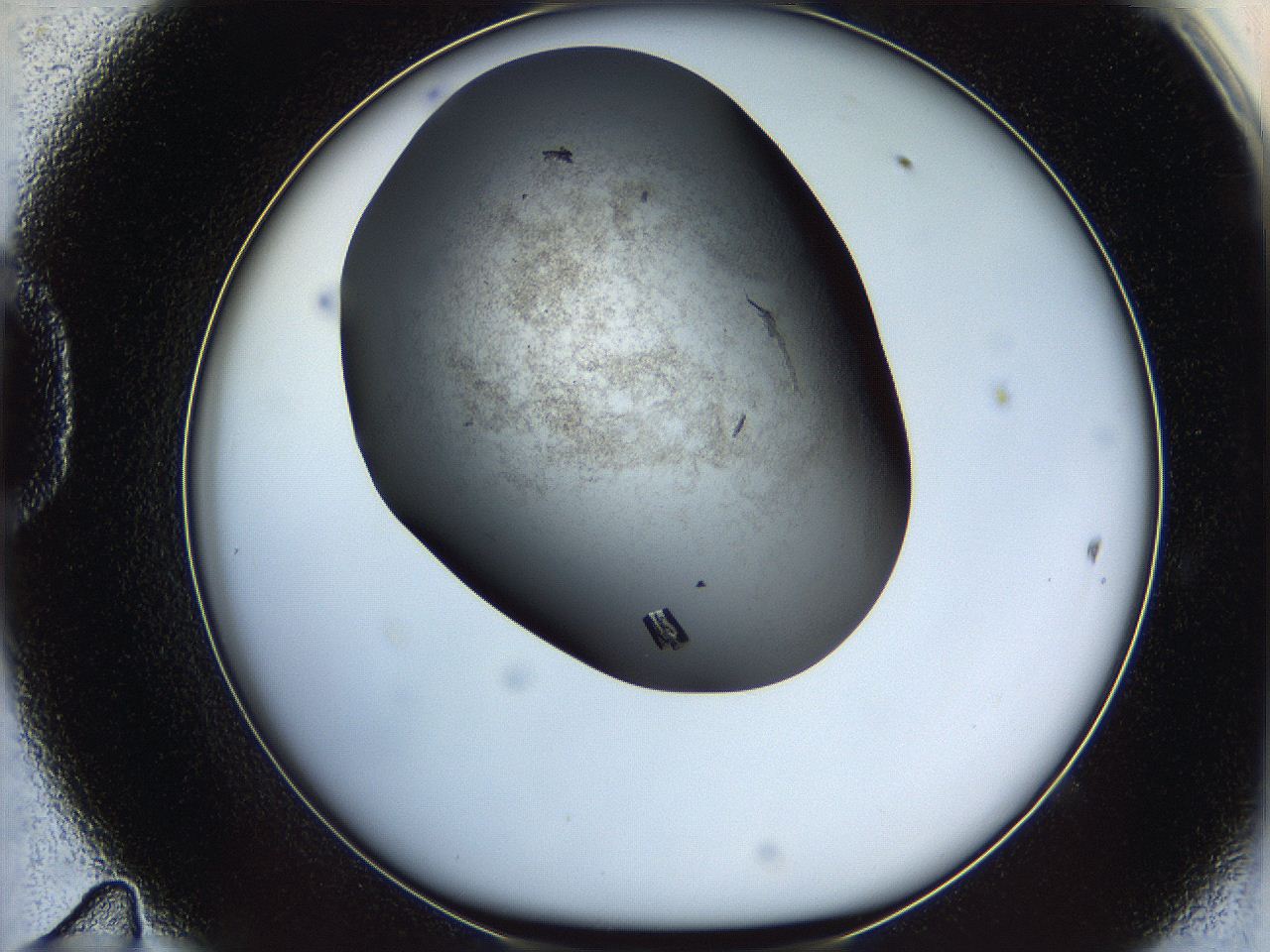 05ms_D11_ImagerDefaults_9.jpg