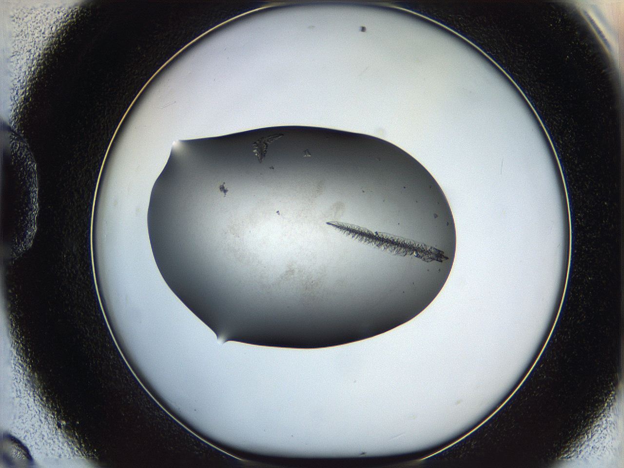 05ms_D9_ImagerDefaults_7.jpg