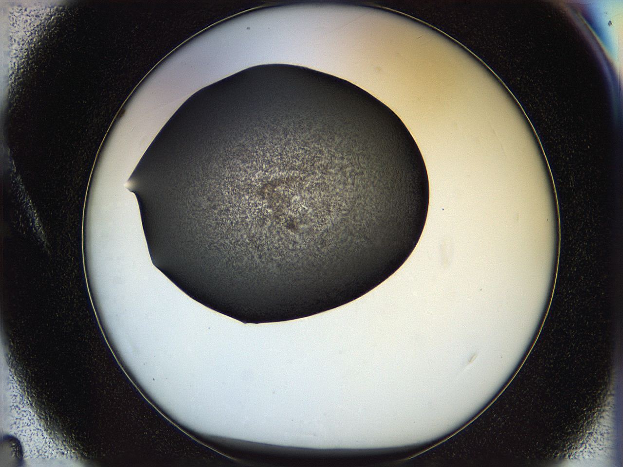 05n4_A4_ImagerDefaults_3.jpg