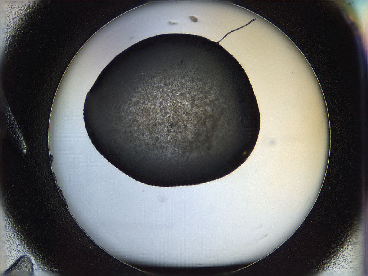 05n4_A11_ImagerDefaults_3.jpg