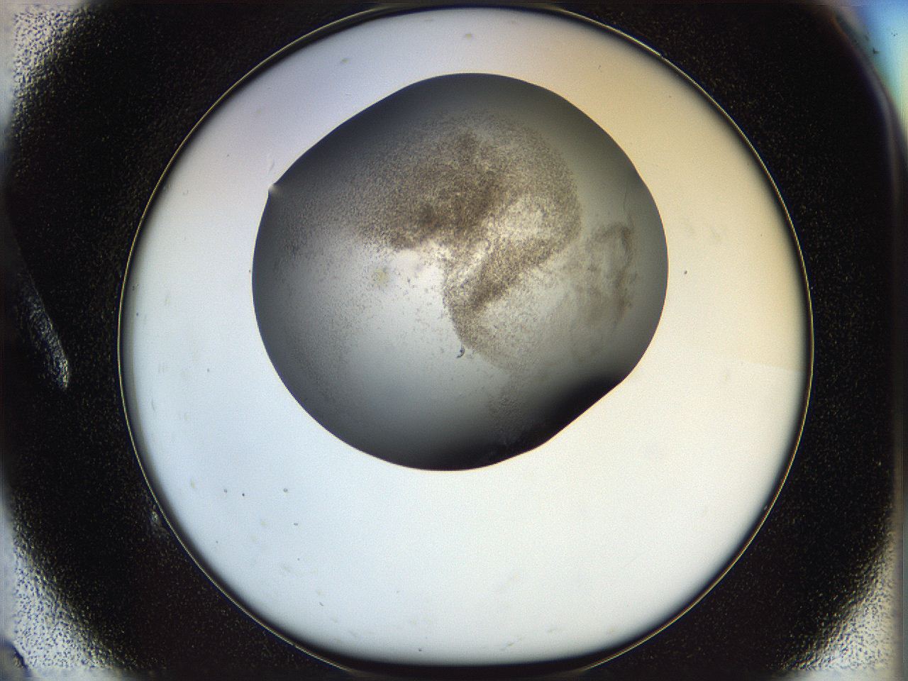 05n4_A9_ImagerDefaults_3.jpg