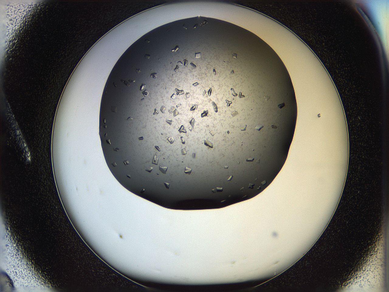 05n4_A8_ImagerDefaults_9.jpg