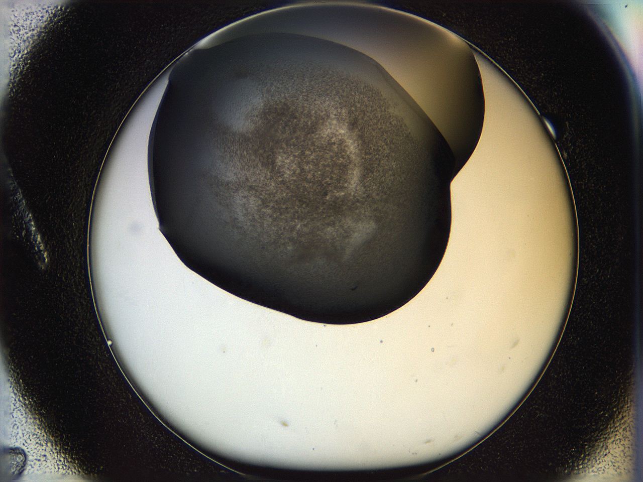05n4_A7_ImagerDefaults_3.jpg