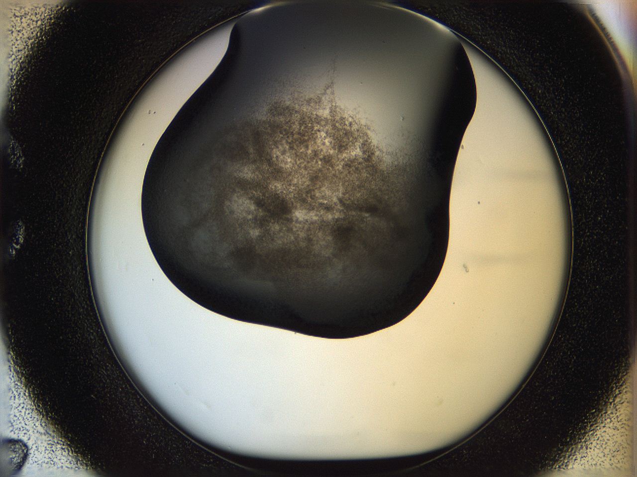 05n4_C7_ImagerDefaults_3.jpg