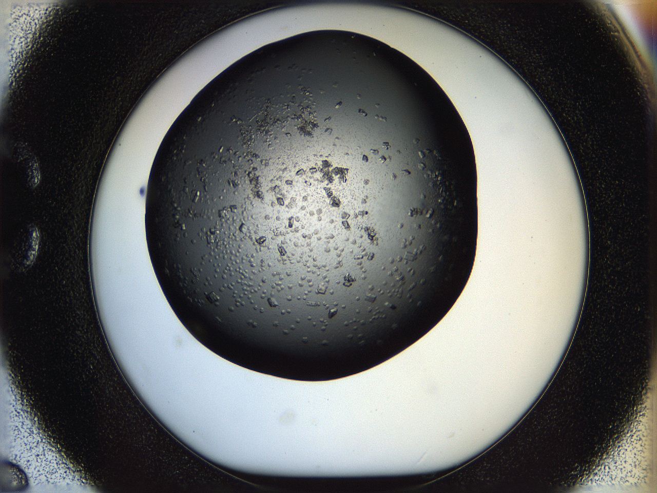 05n4_C6_ImagerDefaults_9.jpg