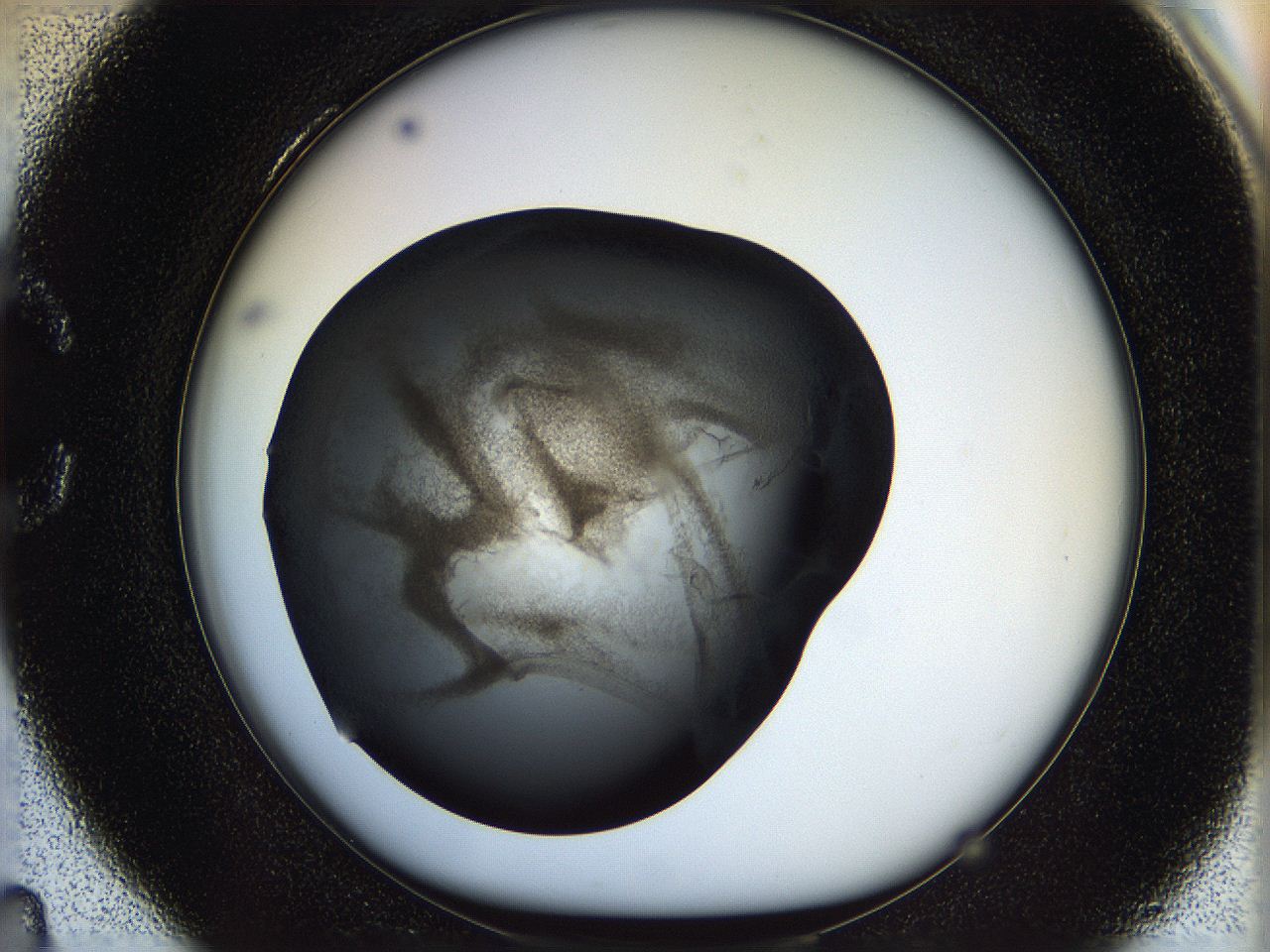 05n4_C4_ImagerDefaults_3.jpg