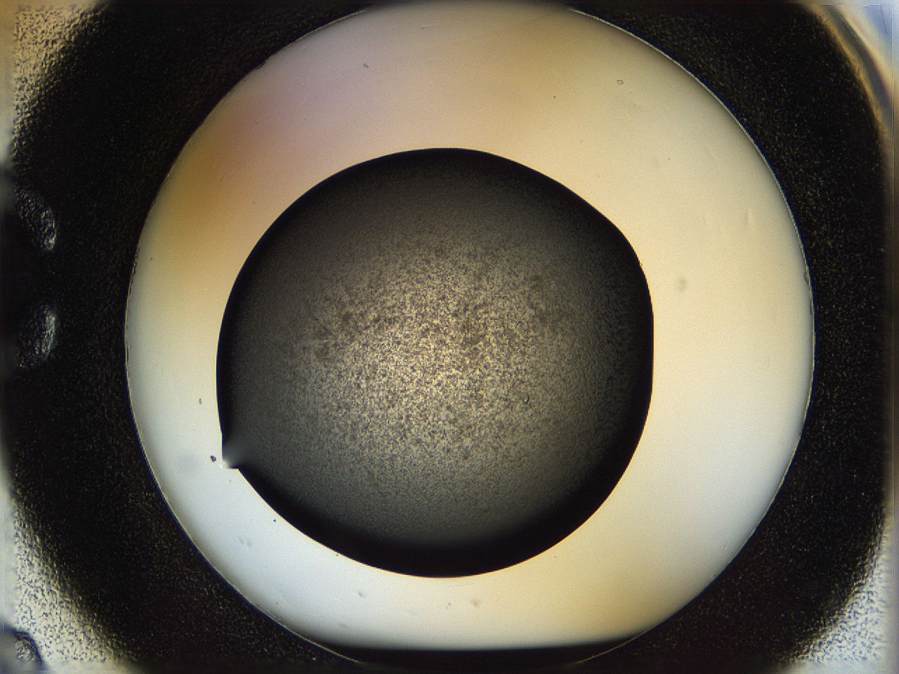 05n4_C2_ImagerDefaults_3.jpg