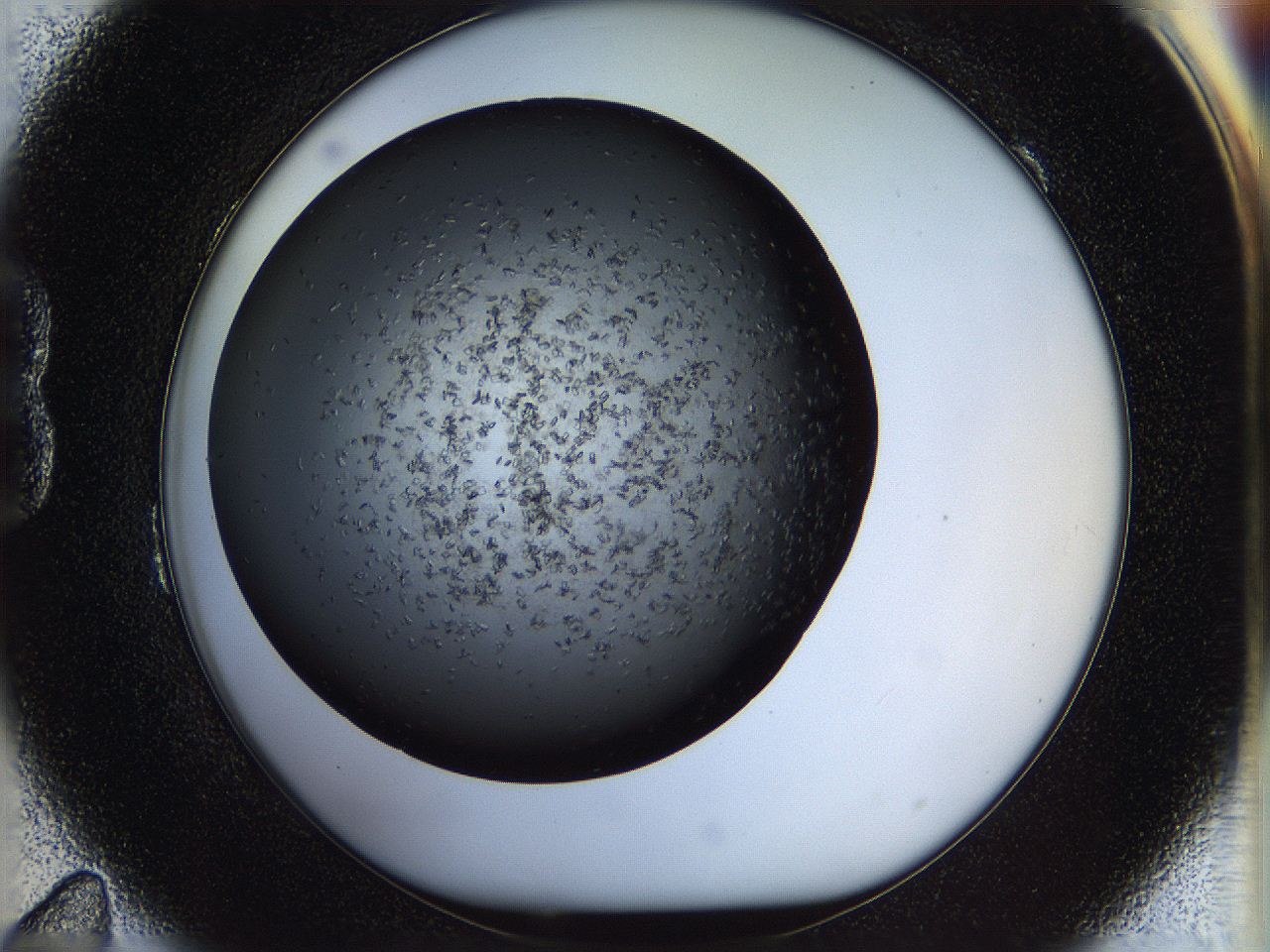 05n4_B11_ImagerDefaults_6.jpg