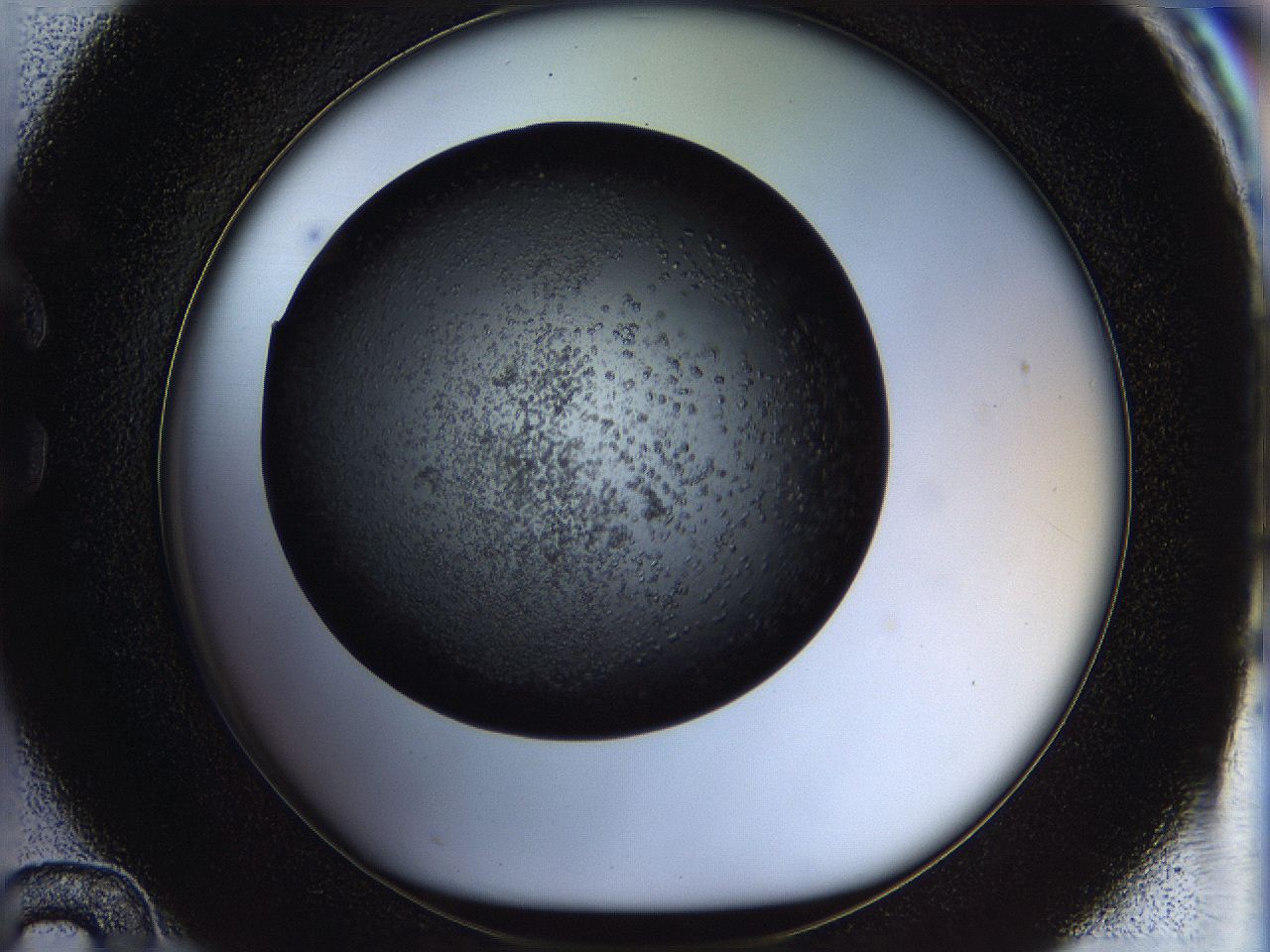 05n4_C12_ImagerDefaults_6.jpg