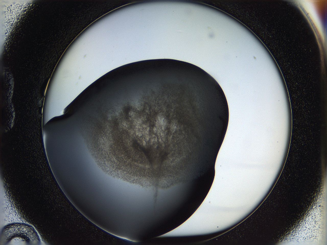 05n4_B10_ImagerDefaults_3.jpg