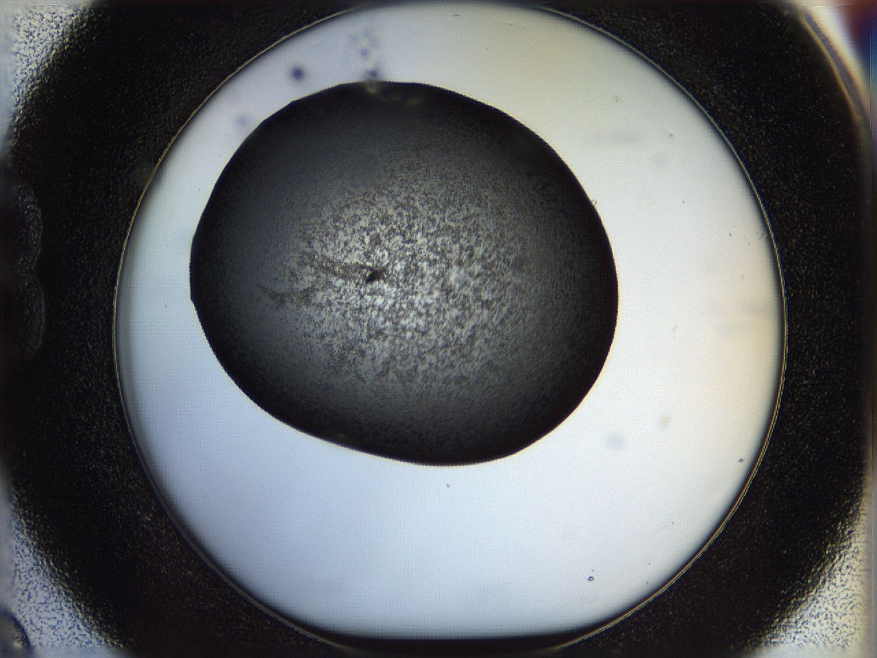 05n4_B9_ImagerDefaults_6.jpg