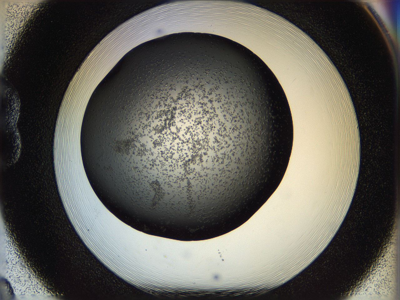 05n4_B8_ImagerDefaults_6.jpg