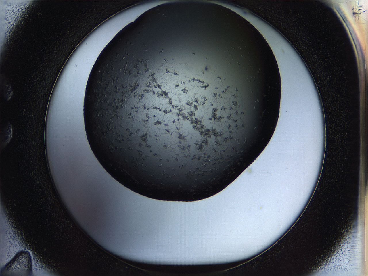 05n4_C11_ImagerDefaults_7.jpg