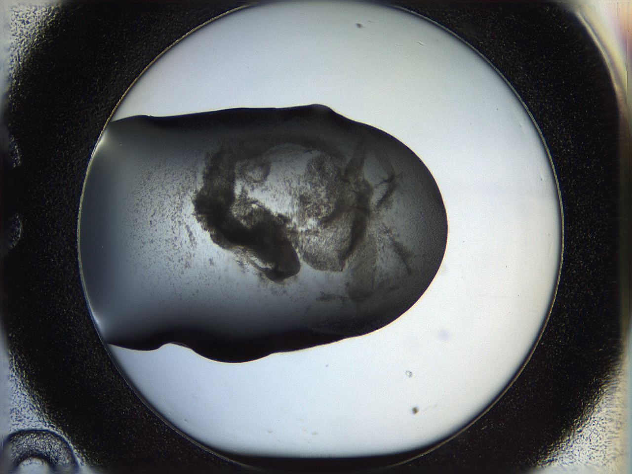 05n4_C10_ImagerDefaults_3.jpg