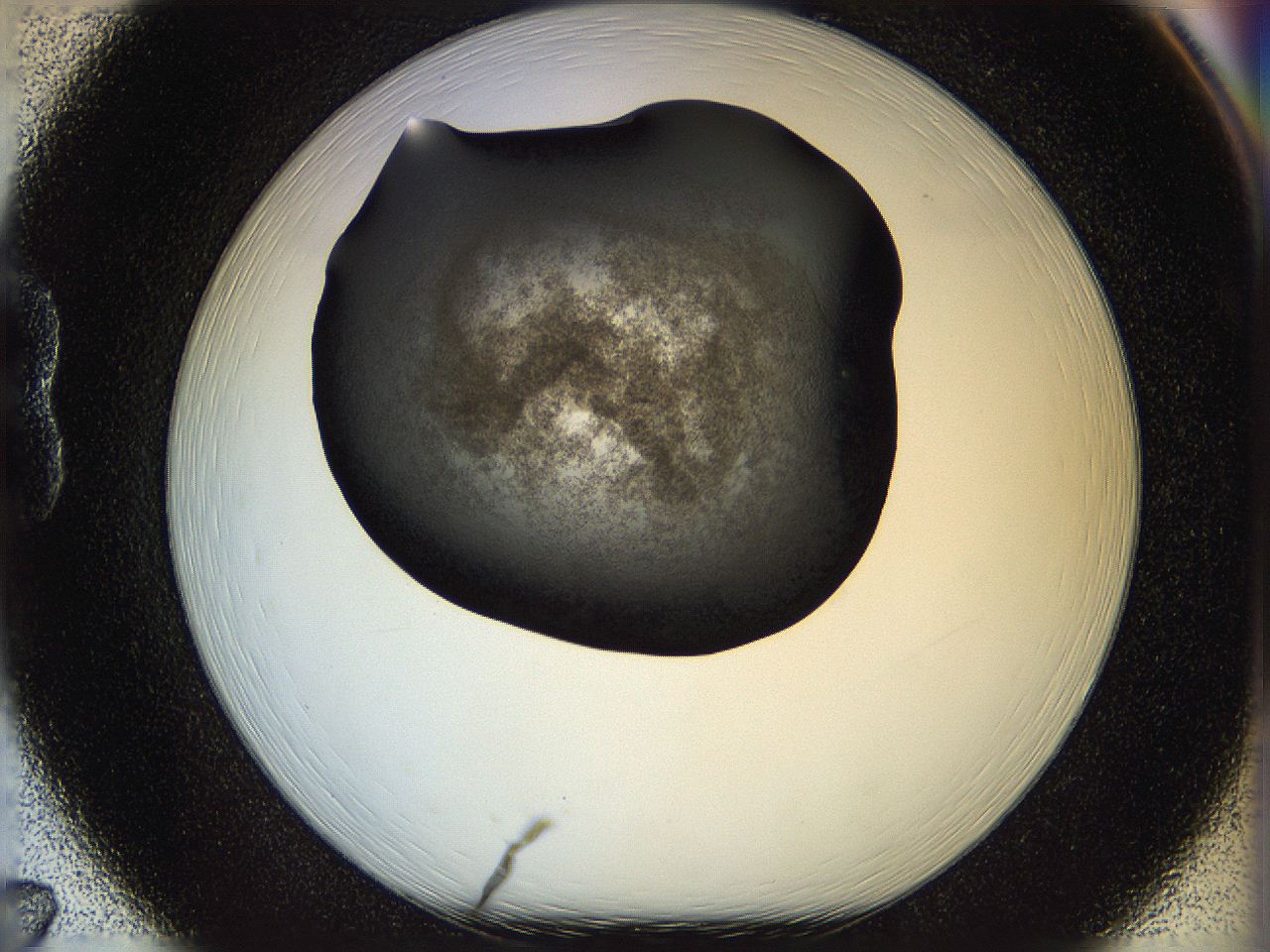 05n4_B7_ImagerDefaults_3.jpg