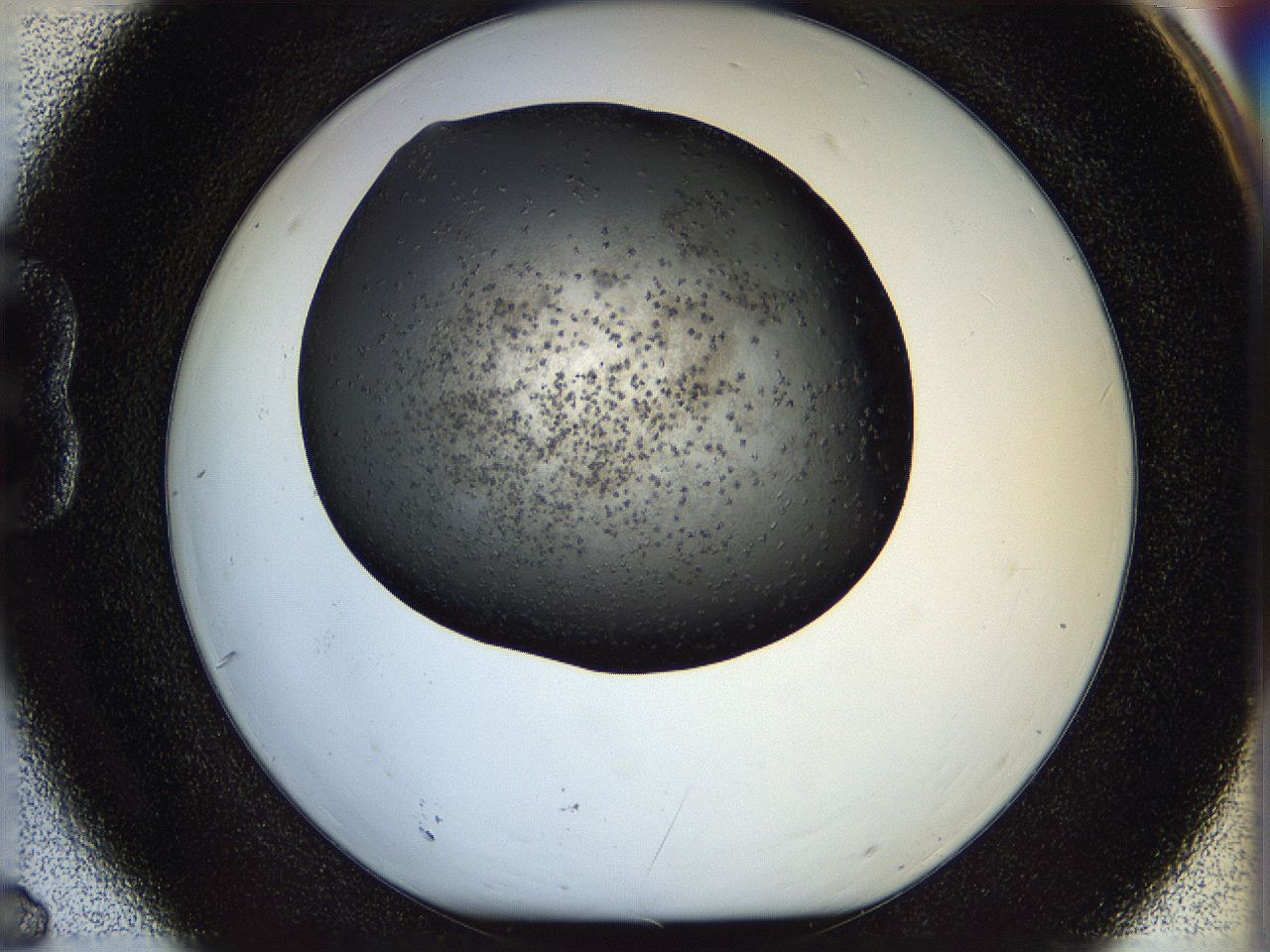 05n4_B6_ImagerDefaults_6.jpg