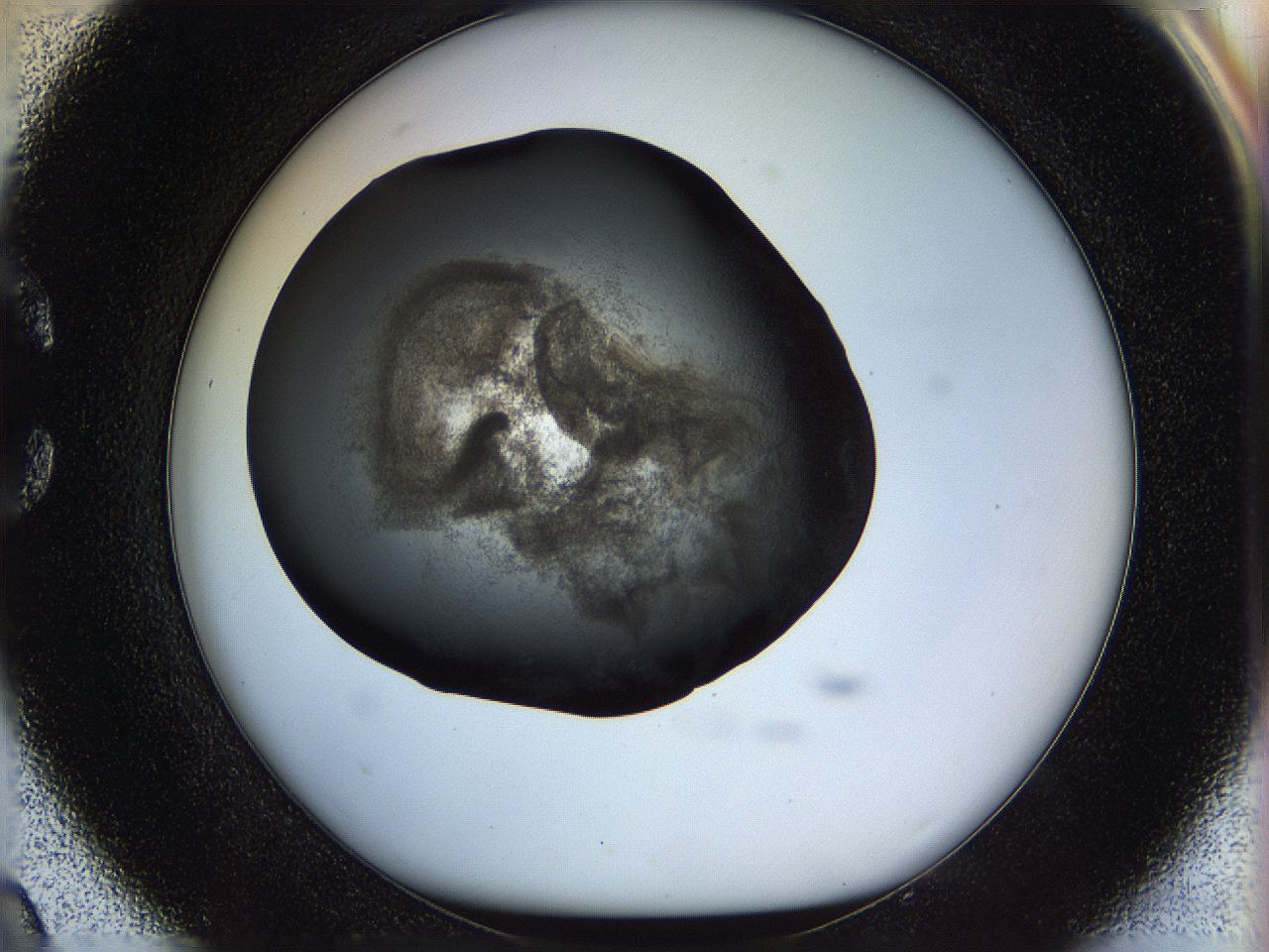 05n4_C9_ImagerDefaults_3.jpg