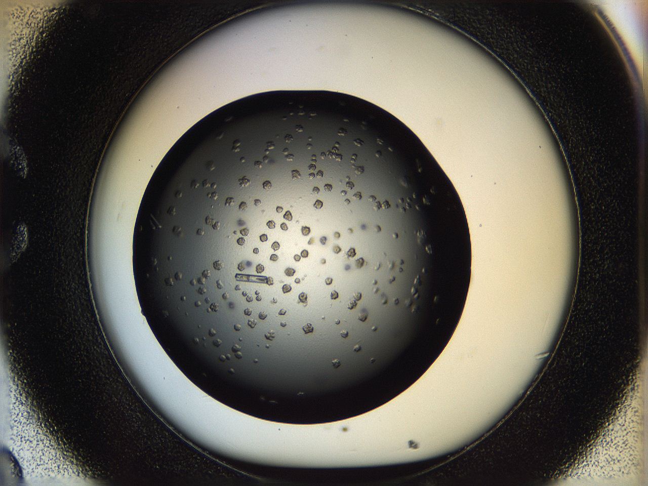 05n4_C8_ImagerDefaults_9.jpg
