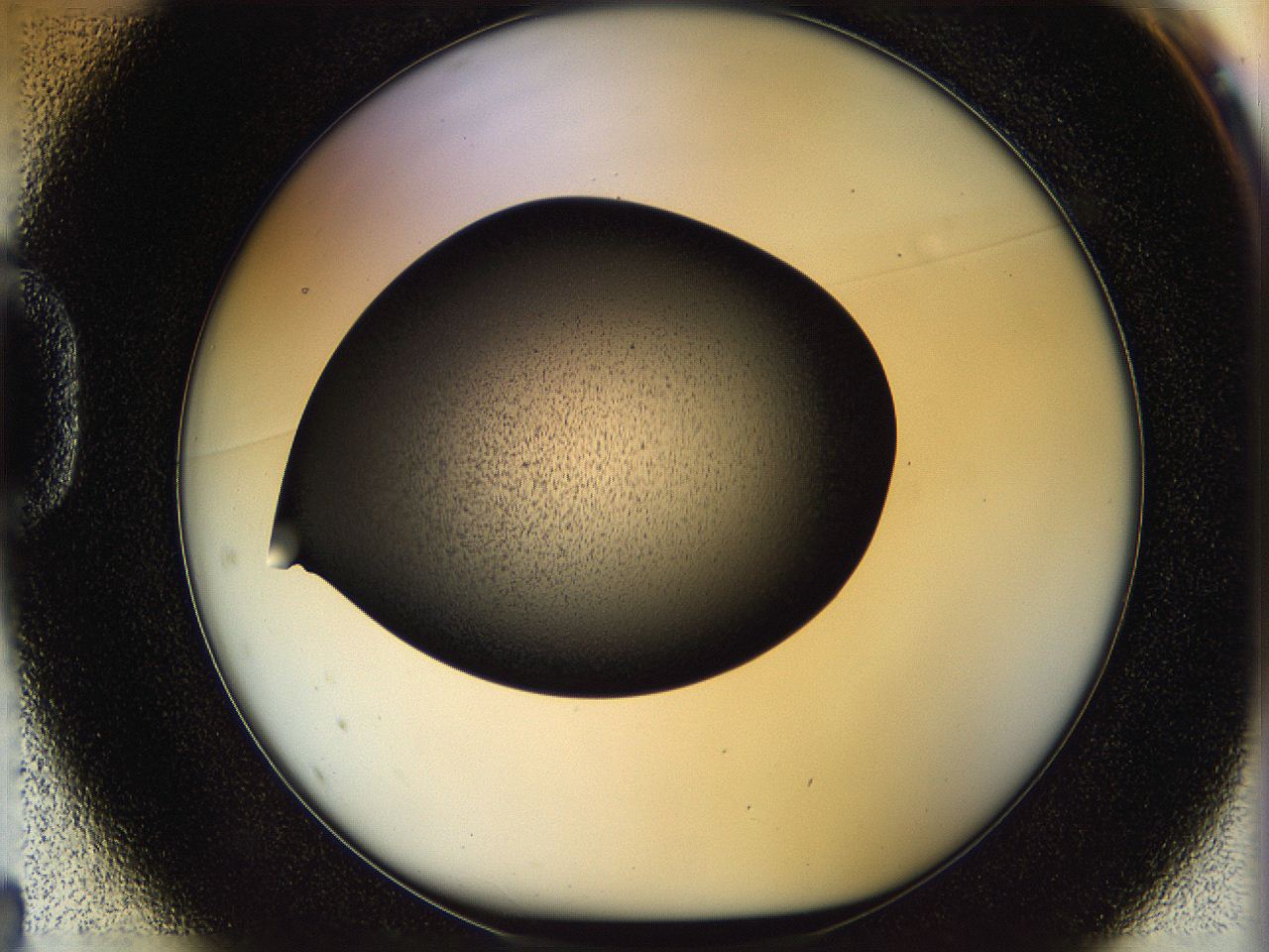 05n4_D1_ImagerDefaults_2.jpg
