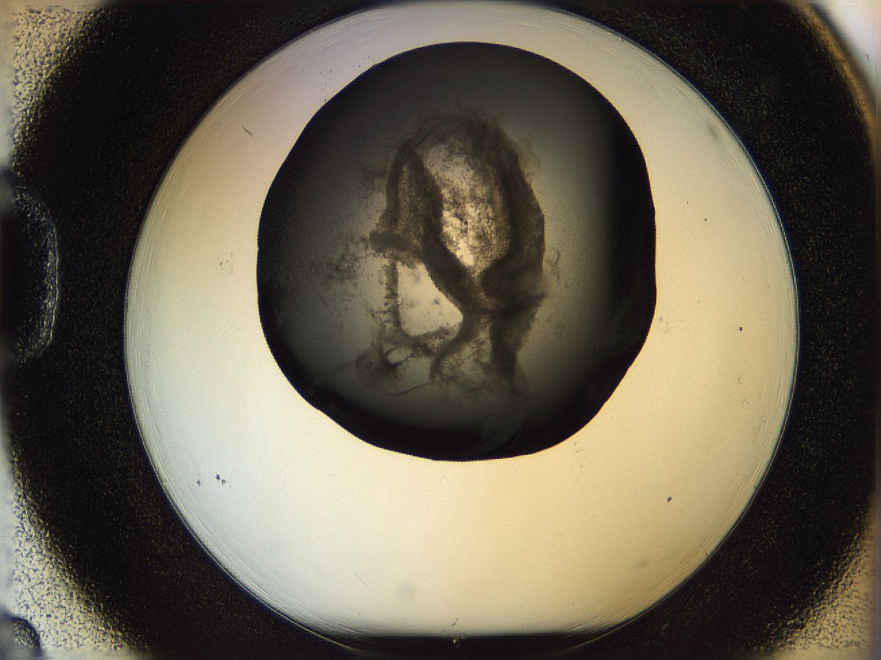 05n4_D3_ImagerDefaults_3.jpg