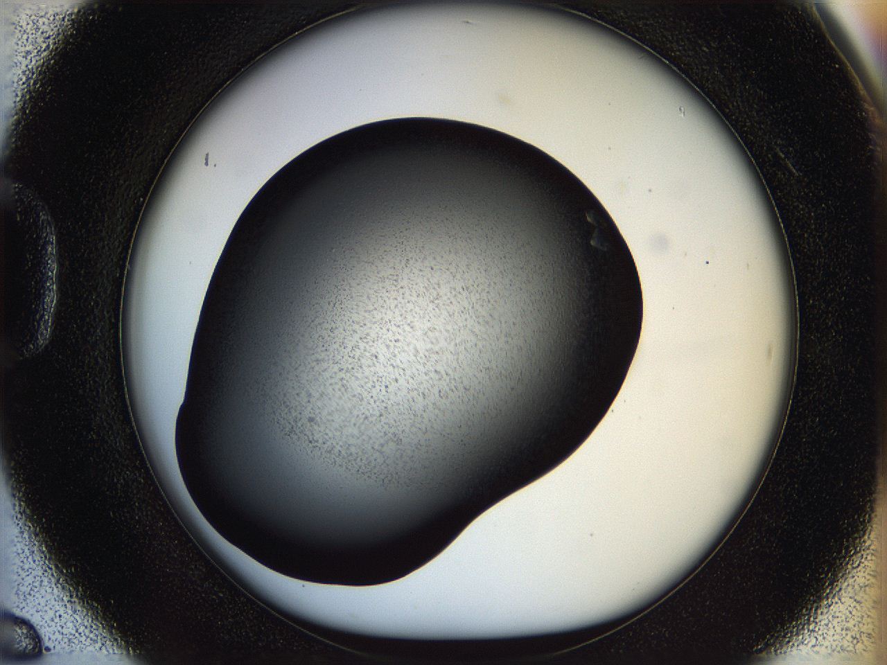 05n4_D6_ImagerDefaults_2.jpg