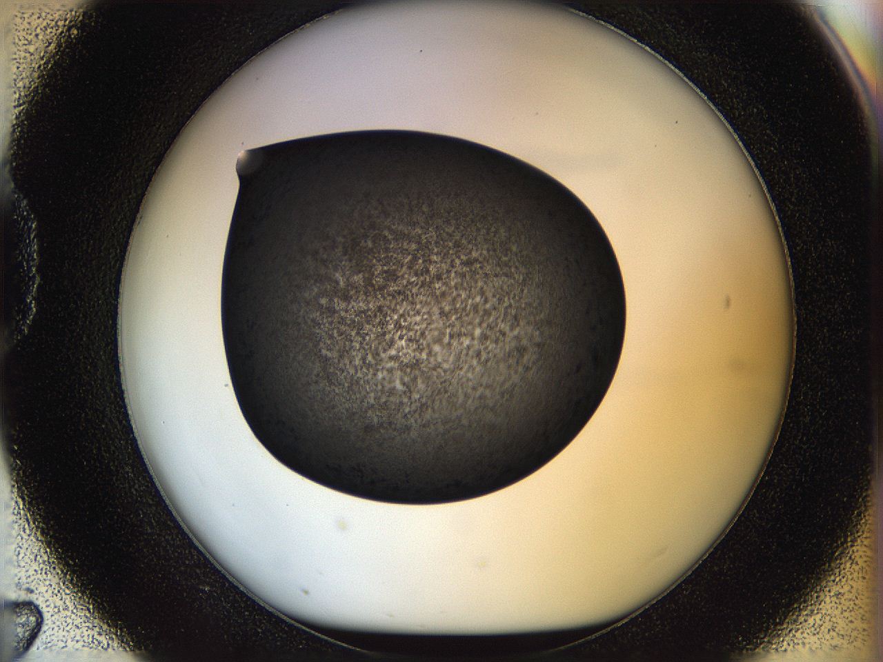 05n4_D7_ImagerDefaults_3.jpg