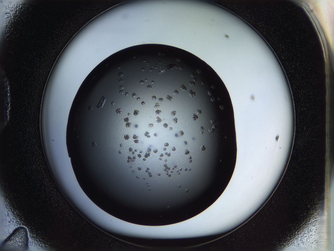 05n4_D11_ImagerDefaults_9.jpg