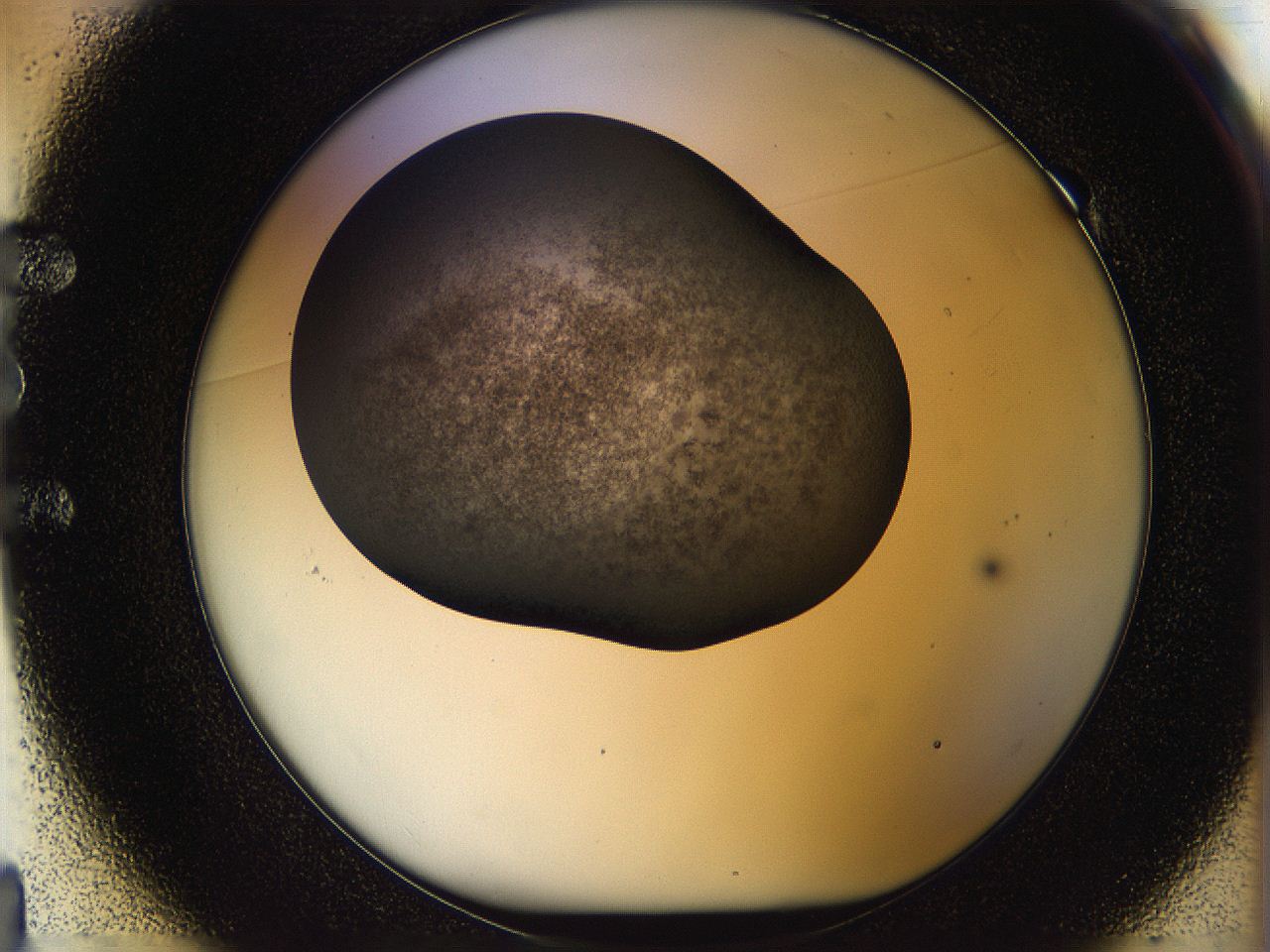 05n4_E1_ImagerDefaults_3.jpg