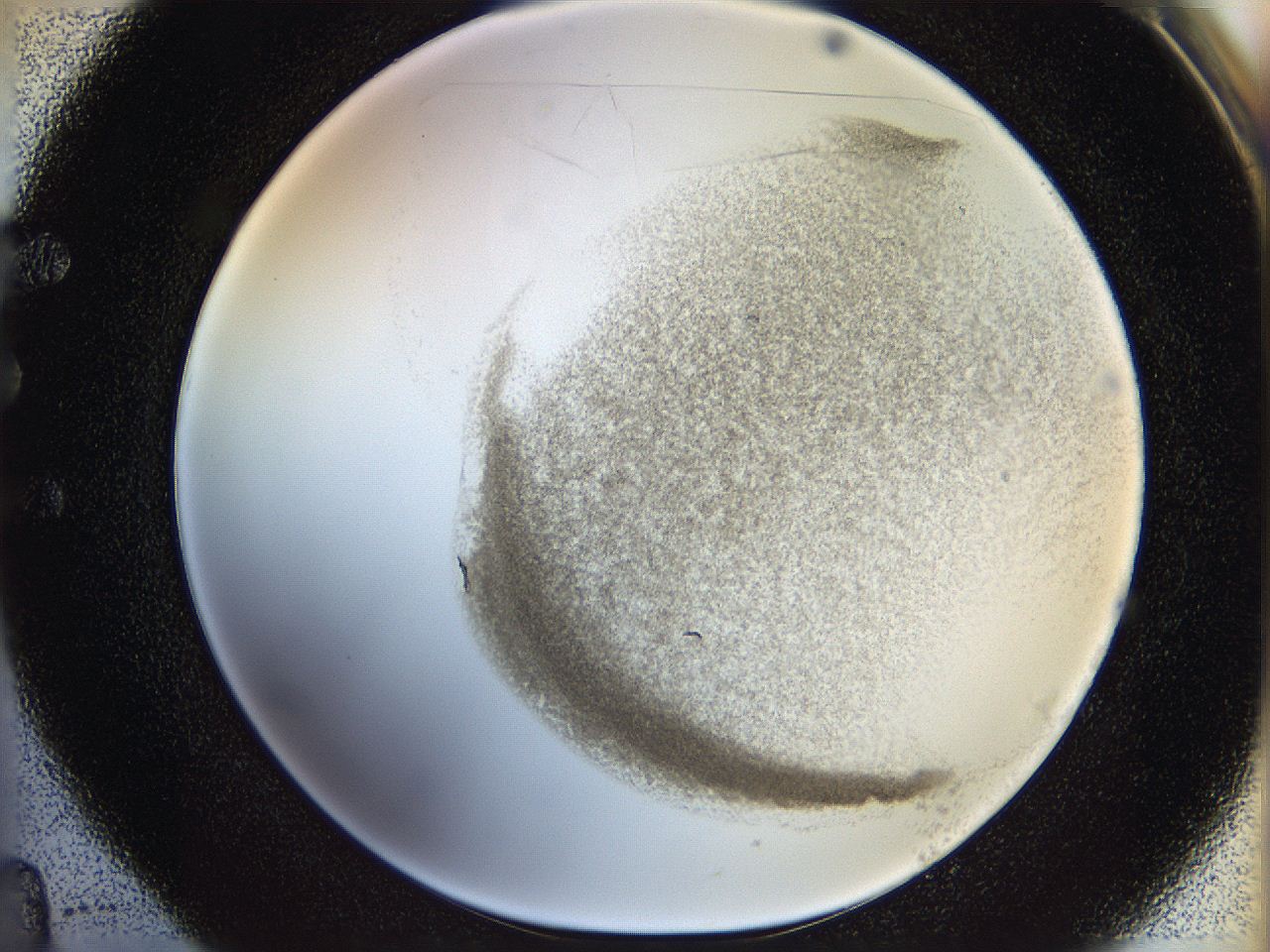 05n4_E4_ImagerDefaults_3.jpg