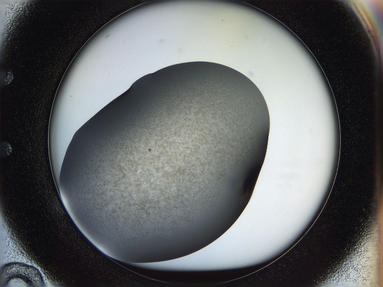 05n4_E10_ImagerDefaults_2.jpg