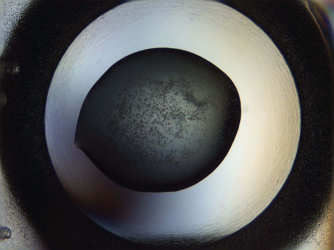 05n4_F5_ImagerDefaults_6.jpg