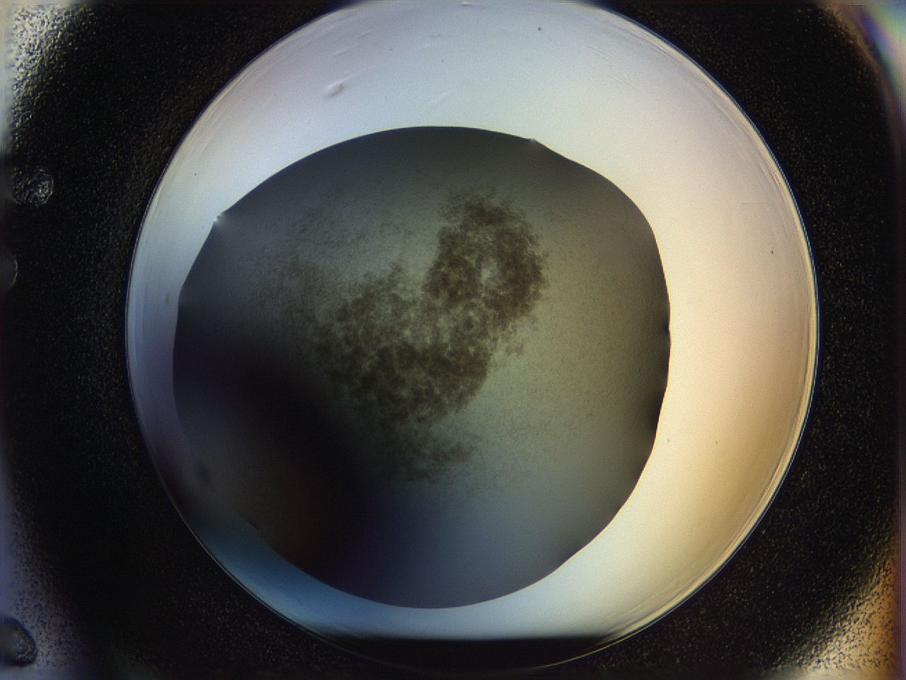 05n4_F6_ImagerDefaults_3.jpg