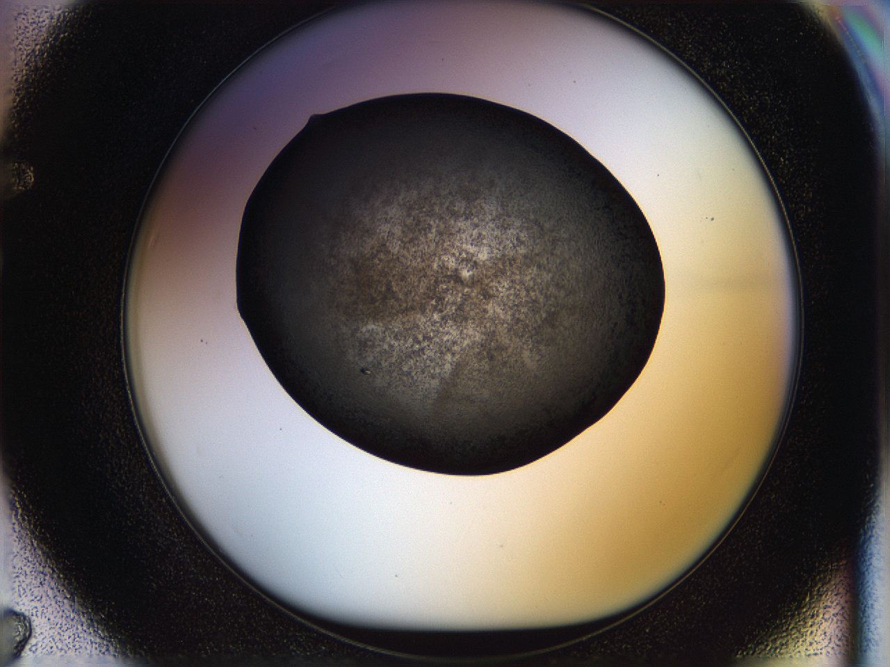 05n4_F7_ImagerDefaults_3.jpg