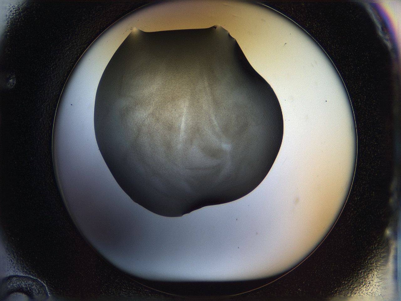05n4_F12_ImagerDefaults_3.jpg