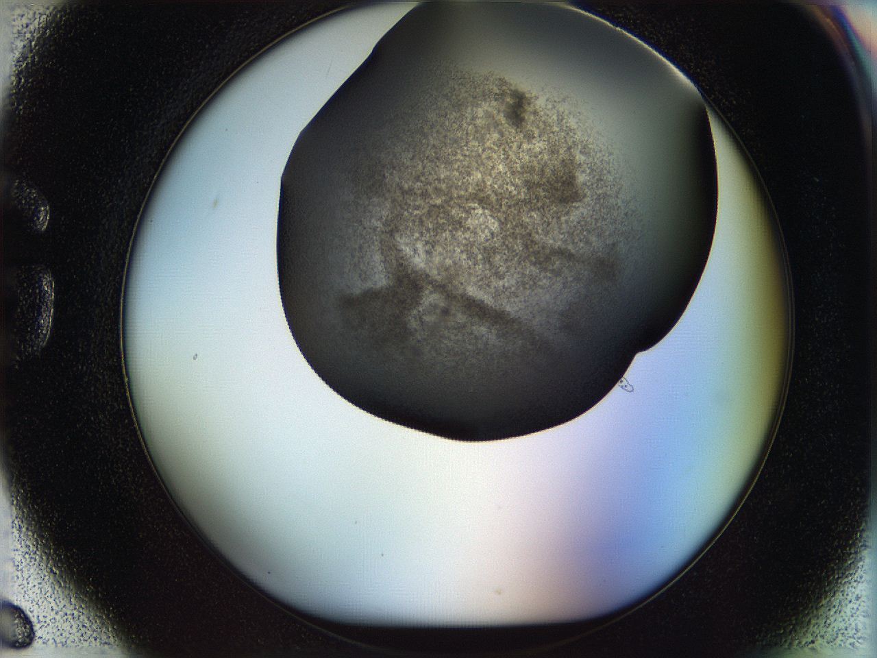 05n4_G6_ImagerDefaults_3.jpg