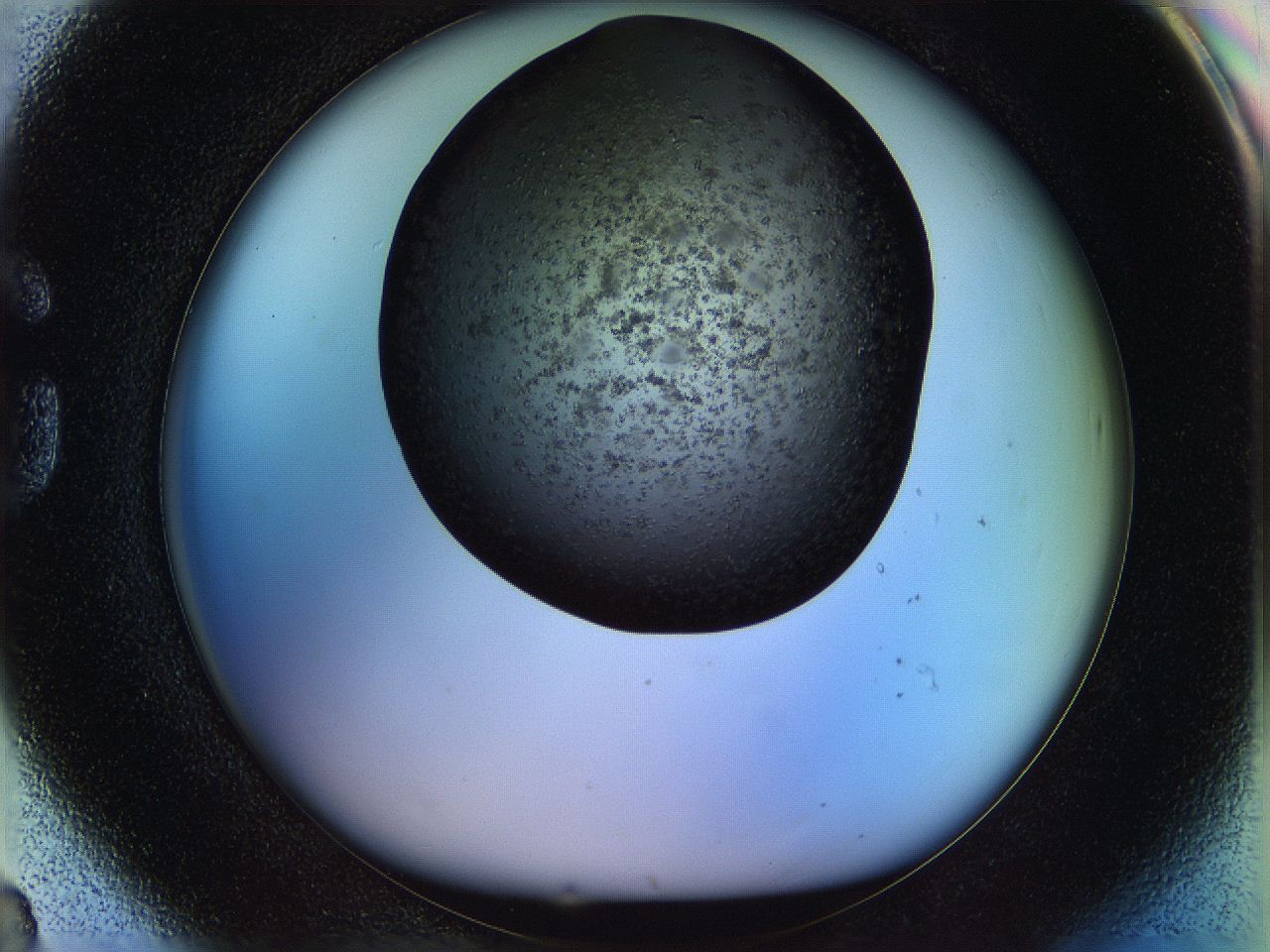 05n4_G8_ImagerDefaults_6.jpg