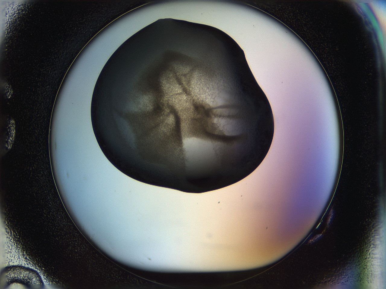 05n4_G10_ImagerDefaults_3.jpg