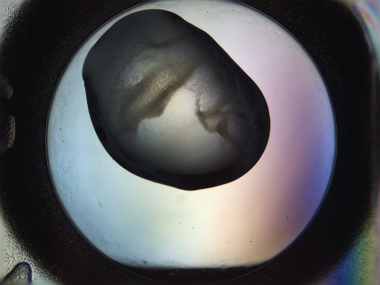 05n4_G11_ImagerDefaults_3.jpg