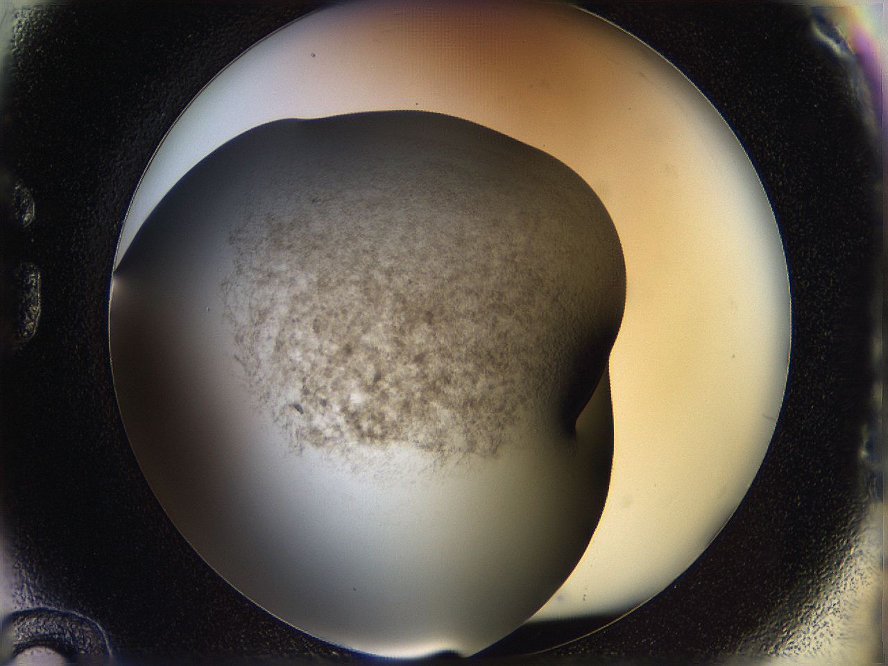 05n4_G12_ImagerDefaults_3.jpg