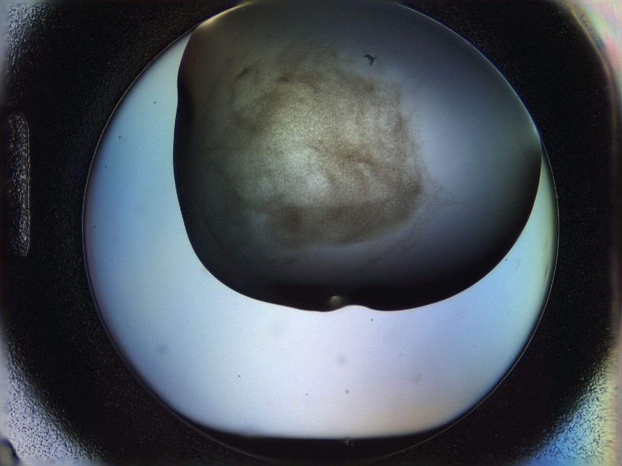 05n4_H9_ImagerDefaults_3.jpg