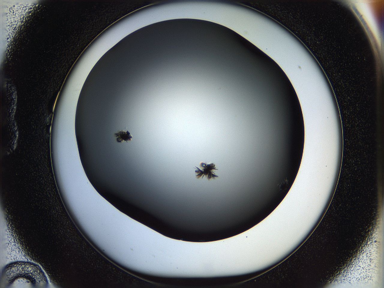 05n5_B10_ImagerDefaults_6.jpg