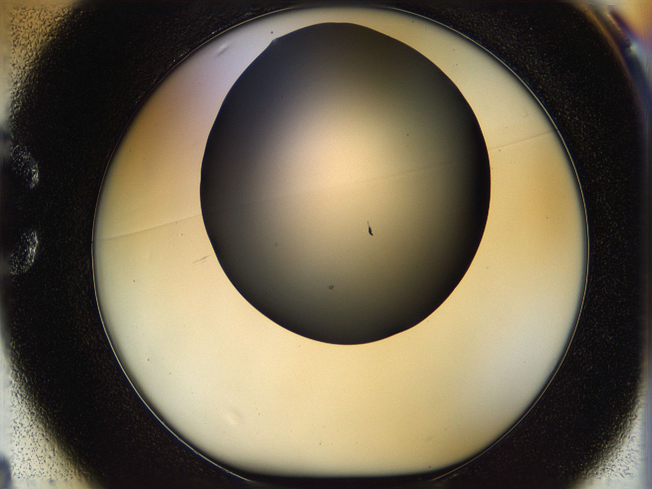 05n5_C1_ImagerDefaults_0.jpg